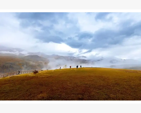肝火旺，气血不足：中医传统视角下的身体平衡调理方法